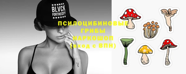 мяу мяу мука Абдулино