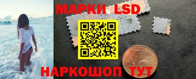 сатива Краснодар