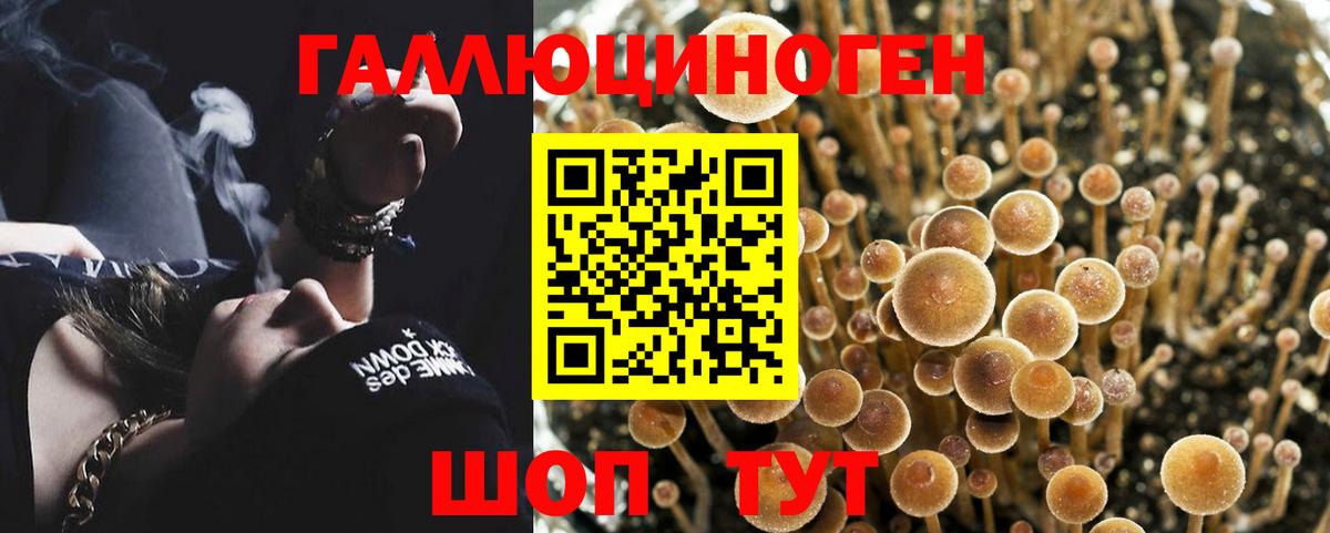 Галлюциногенные грибы прущие грибы  Галлюциногенные грибы GOLDEN TEACHER  Соликамск  Вход с VPN 