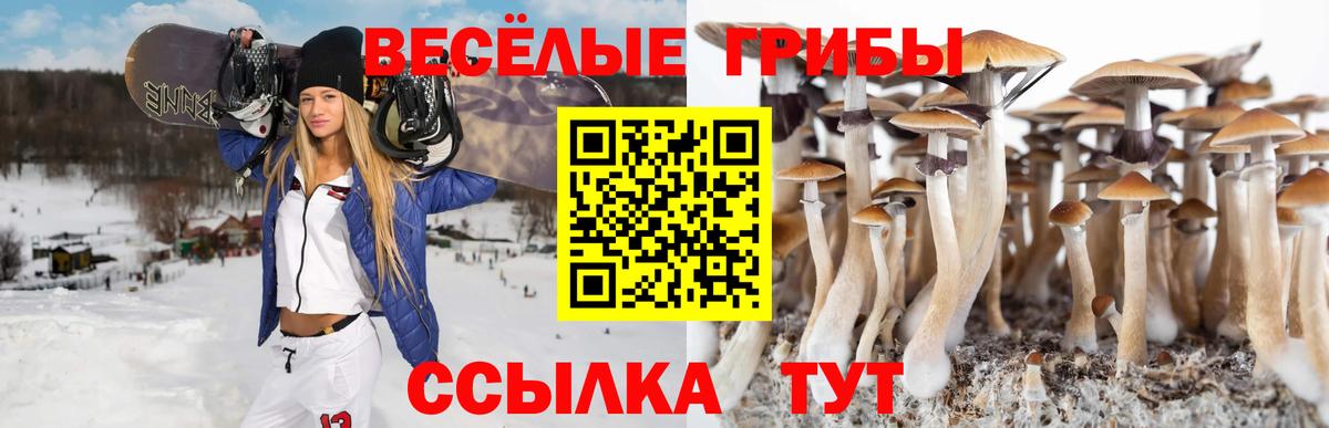 Псилоцибиновые грибы Magic Shrooms Соликамск